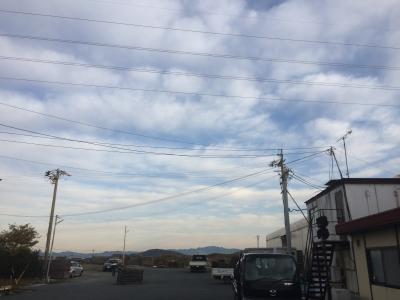 切れっ端をもらってくれました。