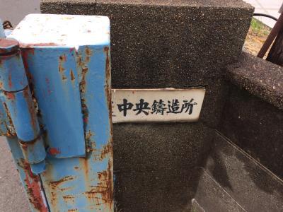ビワの実がなり始めました！