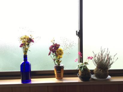 木箱の塗装を始めました