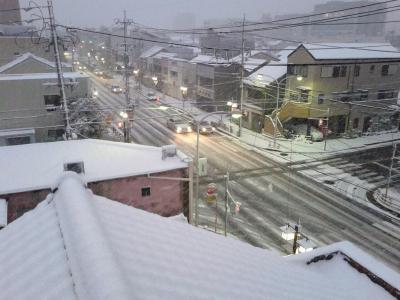 やはり雪が降りましたね。