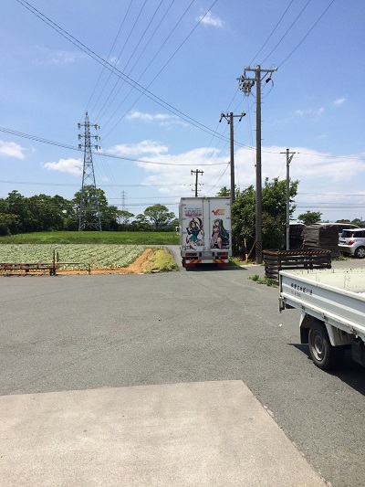 ひとり頑張ってます！