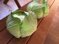 木箱の塗装を始めました
