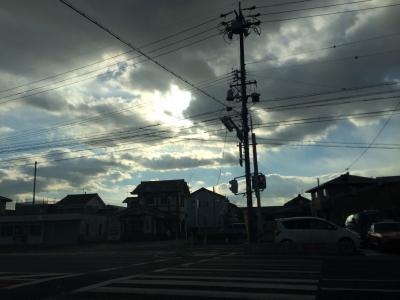 ベニヤも太ります