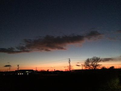 ベニヤも太ります