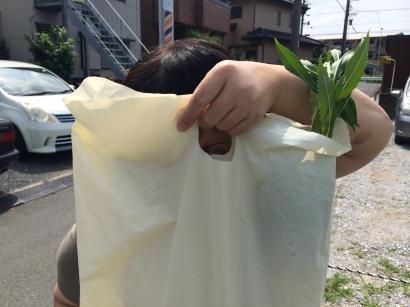クロス張り