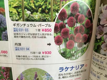 クロス張り