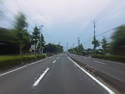 雨