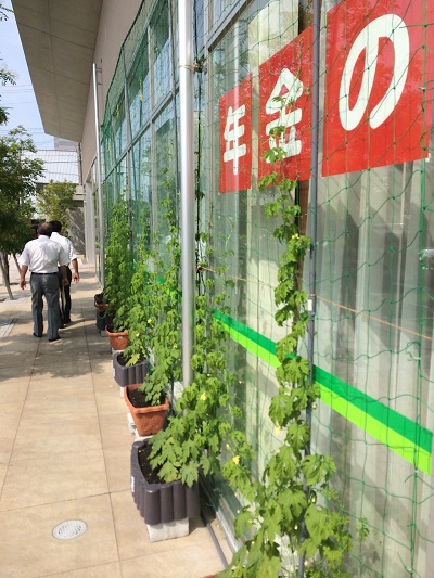 また、わからない花が．．．！