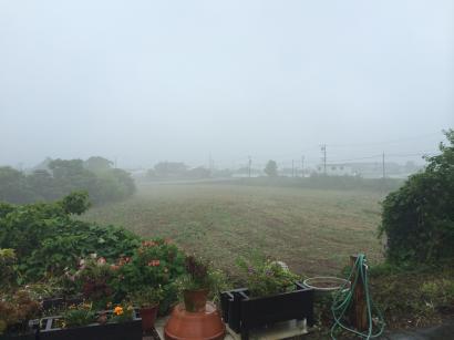 霧