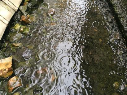 雨