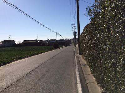 朝の散歩