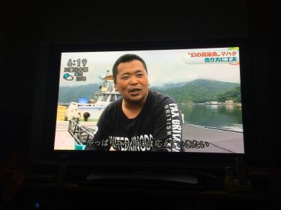マハタの養殖