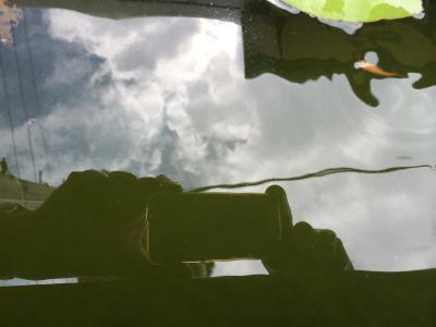 ビール電車に遭遇！
