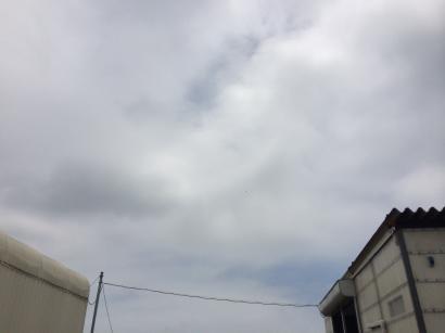 清川銘木工業株式会社