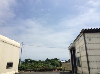 清川銘木工業株式会社