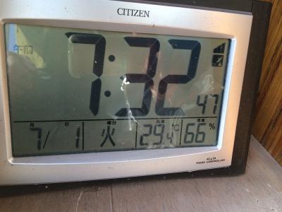 通勤途中の花壇が綺麗でした！