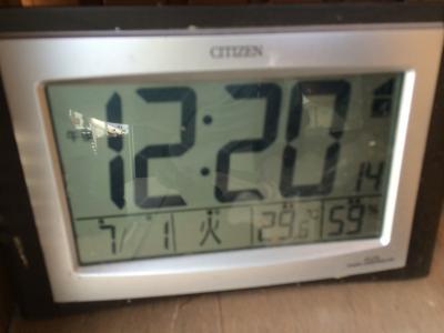 通勤途中の花壇が綺麗でした！