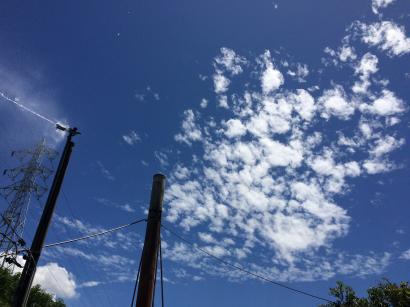 嵐の前の支度