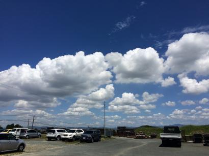 嵐の前の支度