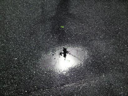 水たまりから映る太陽