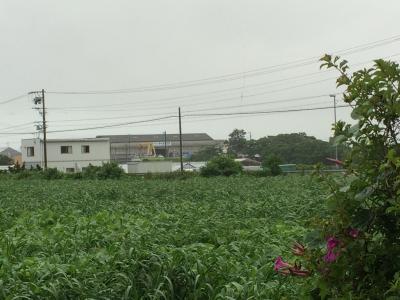 いよいよ台風８号が近づいてきました！