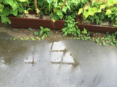 大気が不安定な日でしたね！