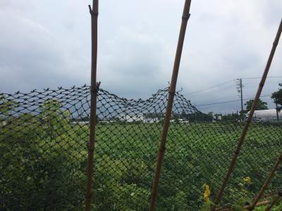 大気が不安定な日でしたね！