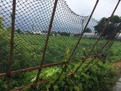 大気が不安定な日でしたね！