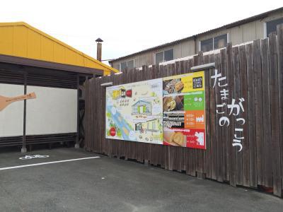打ち水開始！