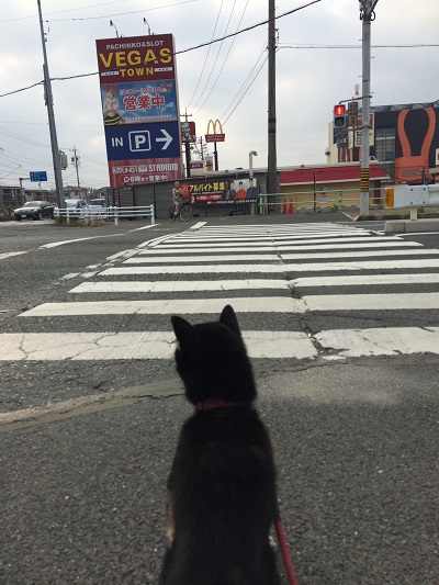 打ち水開始！