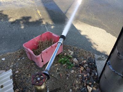 打ち水開始！
