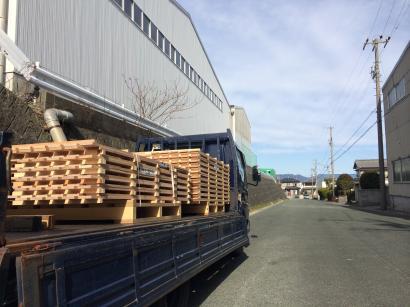 今日は冷え冷えです。