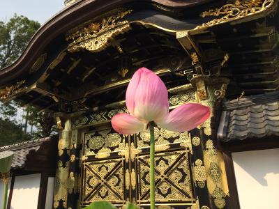 鎌倉の建長寺と蕎麦屋さん！