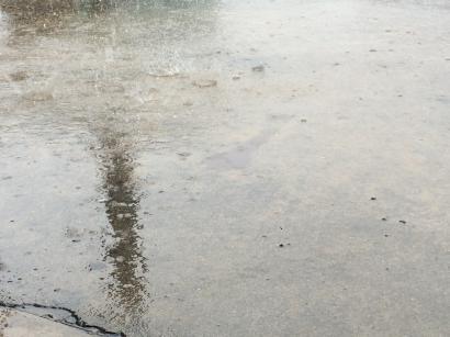 雨