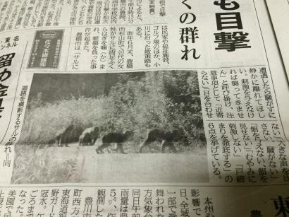 長坂養蜂場様の什器の塗装ができました①