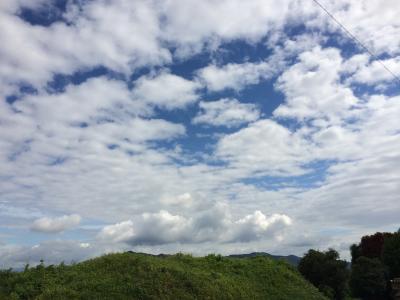 台風一過のこの日！