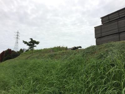 台風一過のこの日！