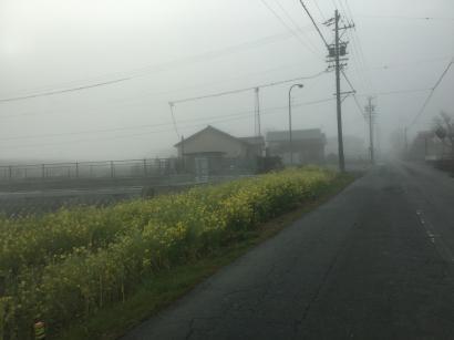 霧