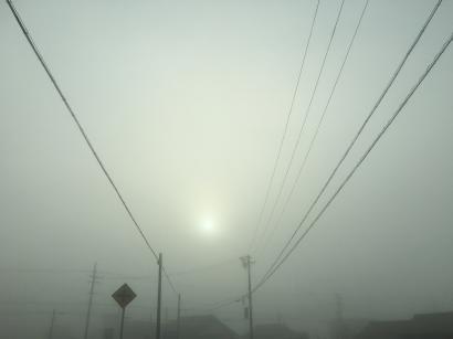 霧