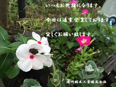 今日は営業中です。