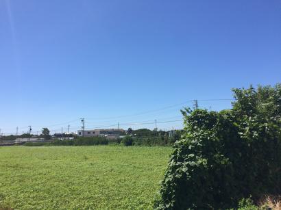 清川銘木工業株式会社