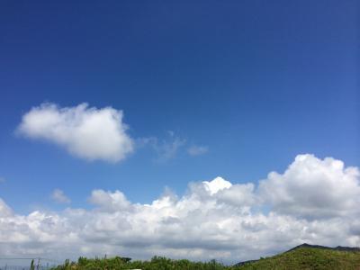 教壇のタモ仕様！
