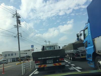 雑草を退治してます！