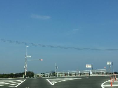 雑草を退治してます！