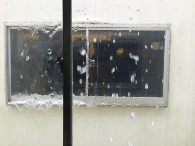 今日は雨が降りませんでした！