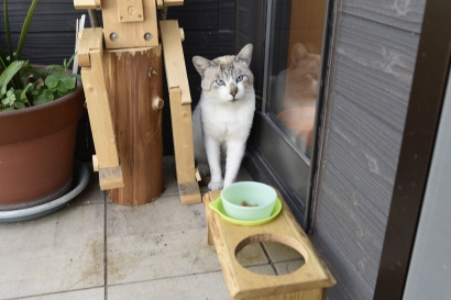 ジビちゃん ジビちゃん