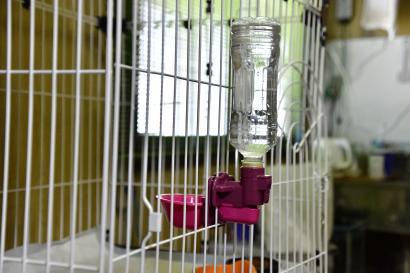 給水器 給水器