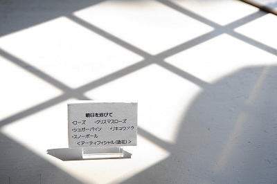 ふたり展Ⅲを振り返って② ふたり展Ⅲを振り返って②