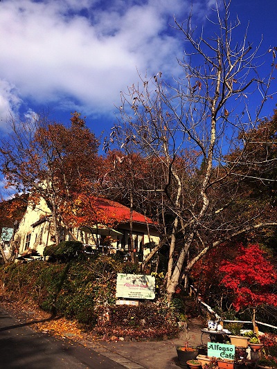 アルフォンソ・カフェ