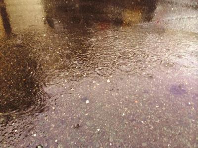 雨風の一日